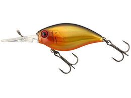 WbJ JK ubNbp[ 48MR #_uNb`