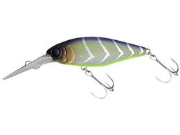 WbJ JK `uMR #oo^N݃N[