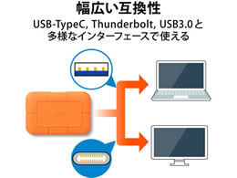 エレコム LaCie Rugged SSD 2TB STHR2000800 | Forestway【通販