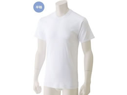 PAt@bV ێVc(2g)(am) zCg LL