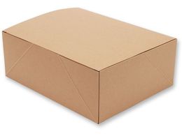 wCR[ Hi lINtg P[L{bNX LL 20 004248018