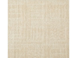  Y ~lJ[ybg sNVX ]ˊ 10 AC{[