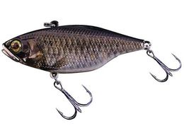 WbJ TN70 t^OXe #RTXN[Rui