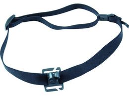 CETACEA Lk tbVCgz_[ wbgp IDHFS