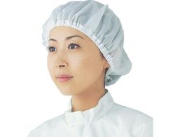 S[hEC lbgLbv PA1401WL