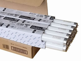 ALEG ǌusbhX^[g40` F 10{1