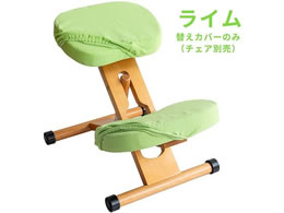 {쏊 v|[V`FApւJo[ C CV-8K