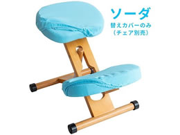 {쏊 v|[V`FApւJo[ \[_ CV-8K