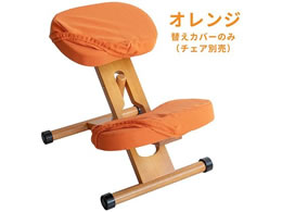 {쏊 v|[V`FApւJo[ IW CV-8K