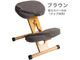 {쏊 v|[V`FApւJo[ uE CV-8W