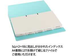 プラス たすけあ 利用者カルテ用インデックス 5山×2 98-078