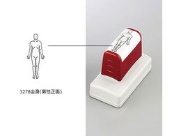 AY ×pX^v Sgj 3278Sgj