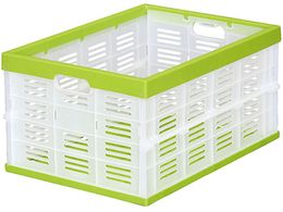 AXe[W J[bV܂݃Rei { O[ 443327