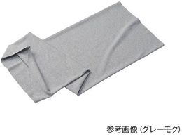 APA 炩EGXg`[u VK[uE M  20711