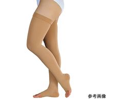 APA/AVN3 XgbLO(ܐȂ)