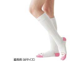 APA AVNEvJ L[vPA nC\bNX M  20303