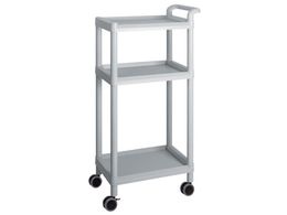 AY/oCC[W[J[g(g[^Cv/M[31)