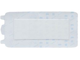 APA }`tBbNXEpbh 100~200 6 20 16925