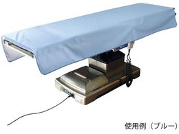 irX veNgV[g([X^Cv)u[ PT1020