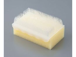 C^[hWp hCXNu(ŋۍσfBX|uV)30 31113