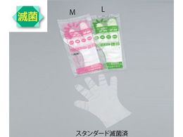 AY Tjg PE X^_[h ŋۍ M 20