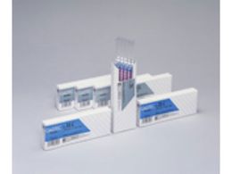 KXebN tbXtppC`[u яt 231