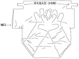 アズワン グローブバッグ 750×500×350mm 6枚入 S-30 | Forestway【通販