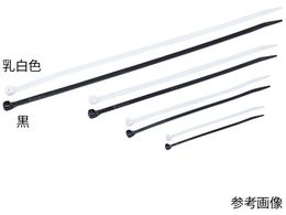 phECbg P[u^C(X[p[Obv)ő81 F PLT300