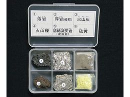 TCGX ΕW{(ΕW{ΎRo6)