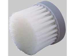 �A�Y���� �t���C�ڋl�����u���V ���r��i�C���� No.1