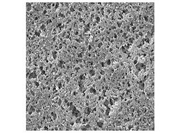 Merck Nylon disc Hydrophilic 0.20m 47mm wh pln 100 Pk 100PK GNWP04700