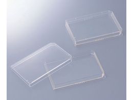 Xe }CNv[g^V[ 1~50ܓ S01F01S