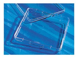 �R�[�j���O �X�N�G�A�f�B�b�V���זE�|�{�\�ʏ����ς� 431110