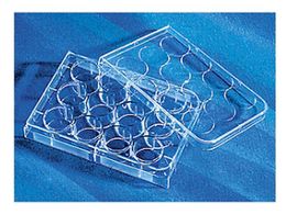 R[jO CellBIND(R)12EFv[gt^t 3336