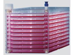 ThermoFisher tBZt@Ng[ C[W[ 10i(|{ʐ:6.320cm2) 140410