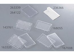 TSNu }CNEFv[g(96EFv[g)(t^t)Eŋۍ 167008