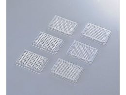 TSNu }CNEFv[g(96EFv[g)V(t^)Eŋۍ 249662