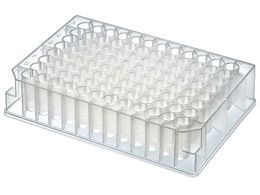 AY fB[vEFv[g Citadel 5~10ܓ 7631-00