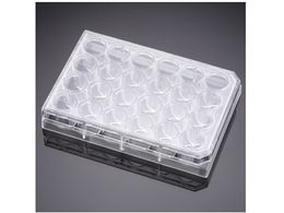 Corning PureCoat �A�~�� 24�E�F���v���[�g 5�� �p�b�N�~1�p�b�N 354723