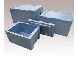 AY P-{bNX(|vs)11L J-11(36~)