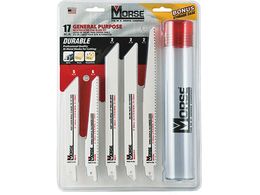 M.K. [X Z[o[\[ Morse(R)ėpLbg 17{