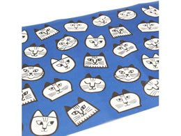 J mtCNV[g Lisa Larson ˂̂ MTCARL003