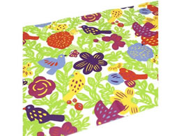 J mtCNV[g SOUSOU Ƃ MTCARSO09