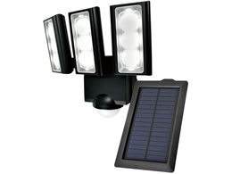 d \[[ ZT[Cg ESL-313SL