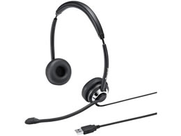 サンワサプライ USBヘッドセット 両耳タイプ MM-HSU20BK | Forestway