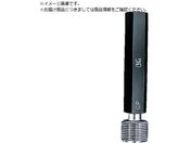 OSG vOQ[W ˂pEQ[W LG M16~0.5mm 31112