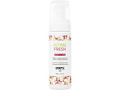 INTIME FRESH �z���C�g