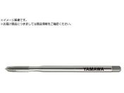 }/O|Cg^bv LS-PO L120 P2 M5X0.8 LS-PO-F-P2-120-M5X0.8