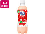 �A�T�q����/�J���s�X�\�[�_ �썑�A�Z���� 500mL 24�{