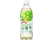 �A�T�q���� �O�c��ʎ��̂��܂ݔ����� 500mL